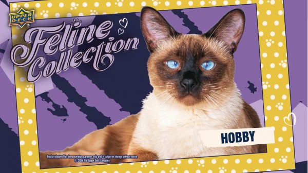 2026 Upper Deck Feline Collection Trading Cards