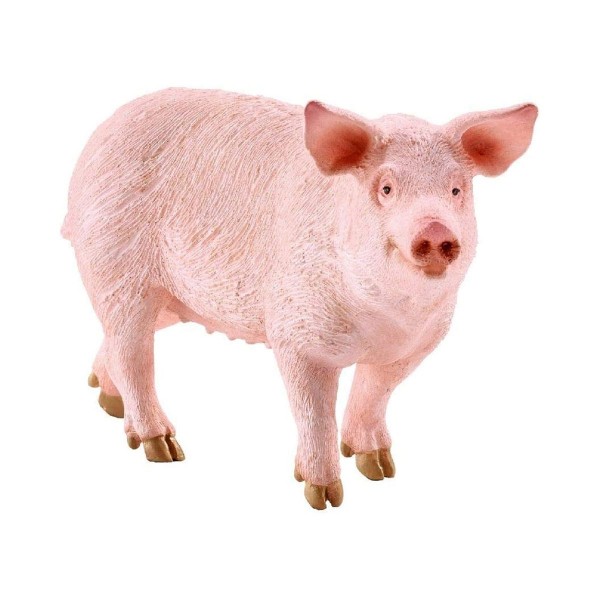 SCHLEICH - Farm World, Schwein (5 ct.)