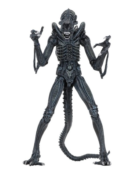 Aliens - Alien Warrior Blue 1986 Ultimate Fig.