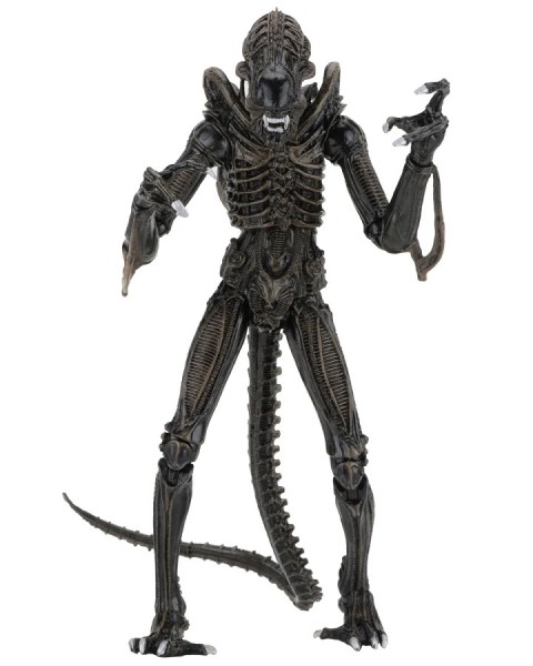 Aliens - Alien Warrior Brown 1986 Ultimate Fig.