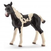 SCHLEICH - Farm World, Pinto Fohlen (5 ct.) SCHLEICH - Farm World, Pinto Fohlen (5 ct.)