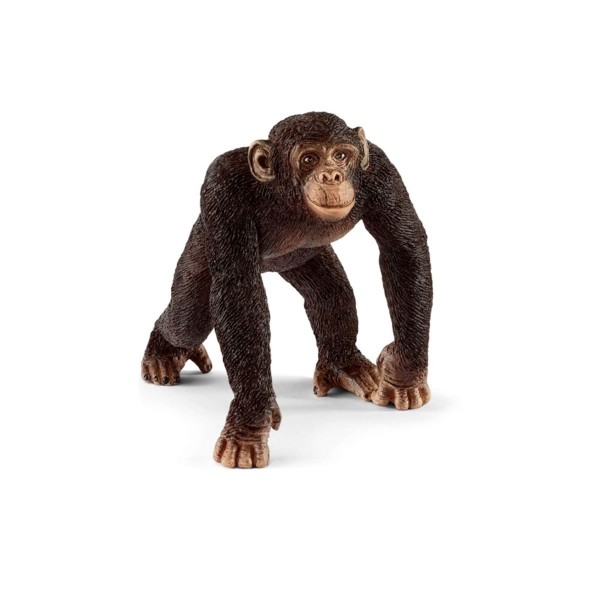 SCHLEICH -Wild Life, Schimpanse, Männchen (5 ct.)