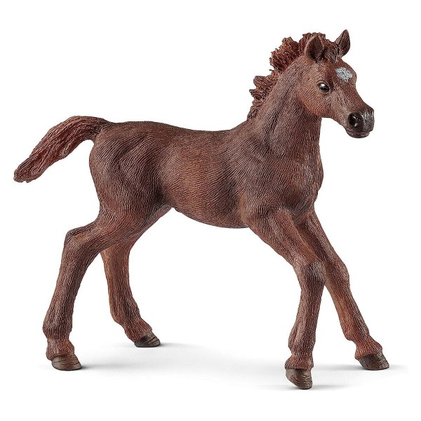 SCHLEICH - Horse Club, Engl. Vollblut Fohlen (5ct)