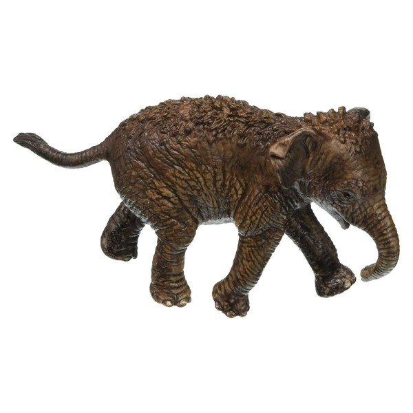 SCHLEICH- Wild Life, Asiatisches Elefantenbaby5ct.