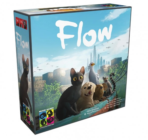 Flow DE