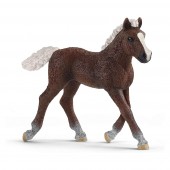 SCHLEICH - Farm World, Schwarzwälder Fohlen (5ct.) SCHLEICH - Farm World, Schwarzwälder Fohlen (5ct.)